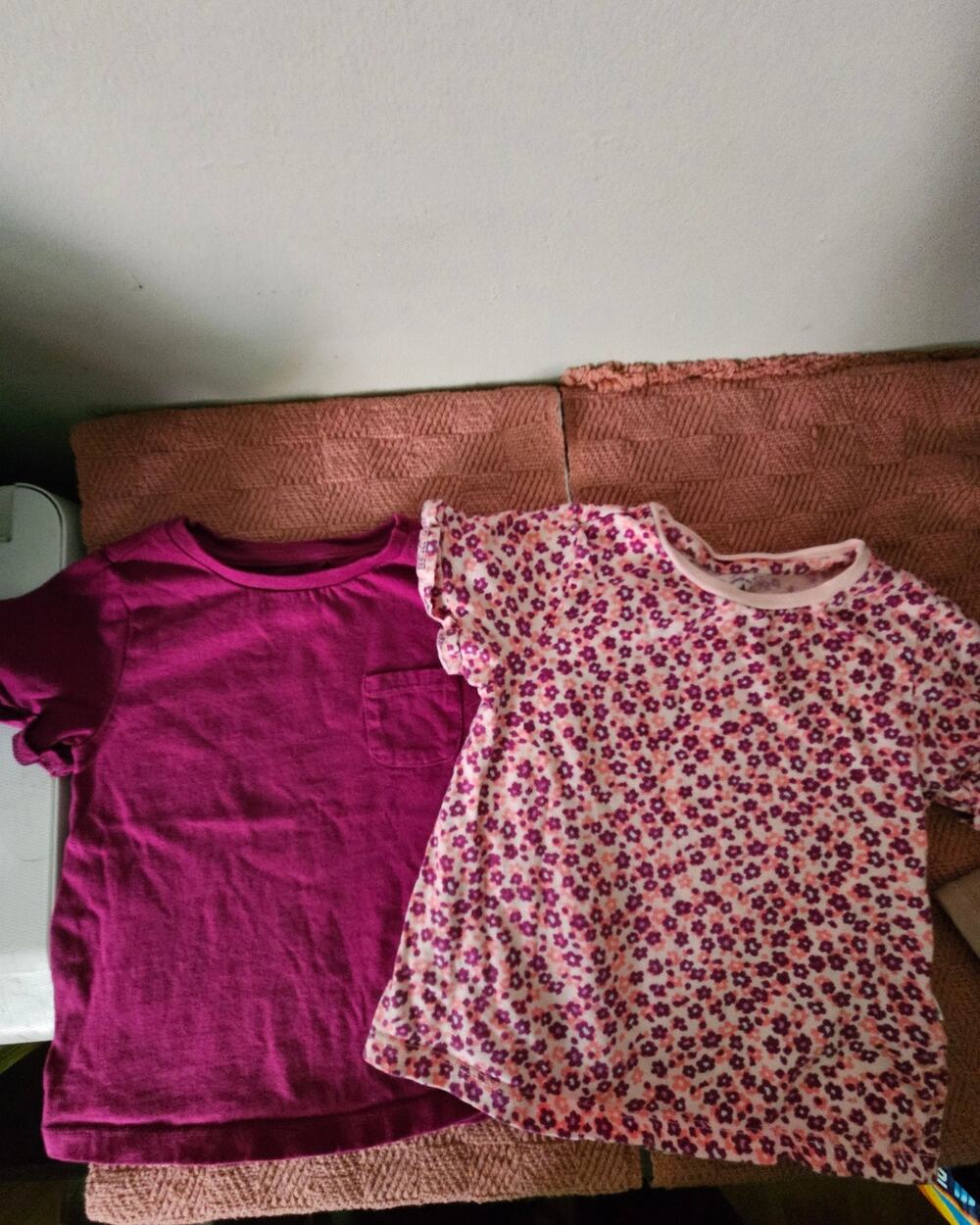 Baby Gap 2 Brannan’s Favorites Girls 4T Shirts Floral Flutter sleeve TWINS?